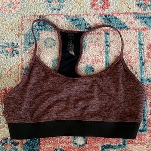 Koral Sports Bra